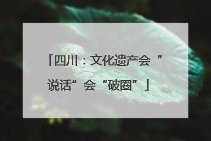 四川：文化遗产会“说话”会“破圈”