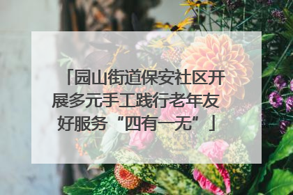 园山街道保安社区开展多元手工践行老年友好服务“四有一无”