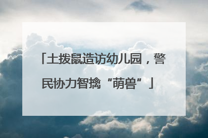 土拨鼠造访幼儿园，警民协力智擒“萌兽”