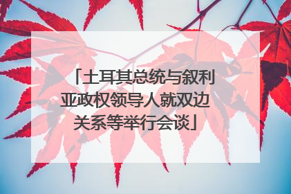 土耳其总统与叙利亚政权领导人就双边关系等举行会谈