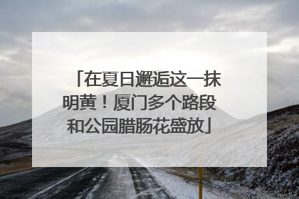 在夏日邂逅这一抹明黄！厦门多个路段和公园腊肠花盛放