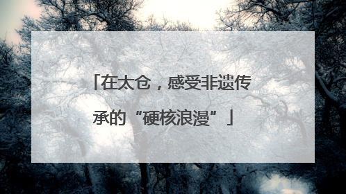 在太仓，感受非遗传承的“硬核浪漫”