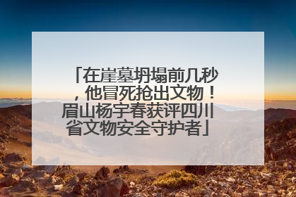 在崖墓坍塌前几秒，他冒死抢出文物！眉山杨宇春获评四川省文物安全守护者