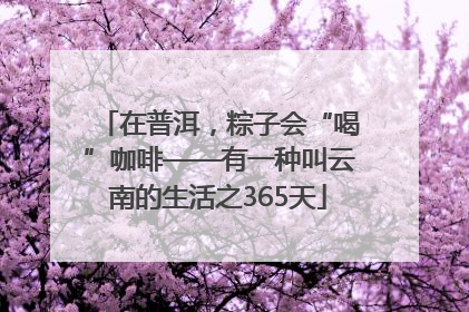 在普洱，粽子会“喝”咖啡——有一种叫云南的生活之365天