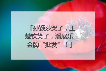 孙颖莎哭了，王楚钦笑了，潘展乐金牌“批发”！