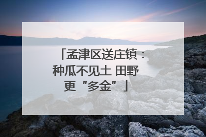 孟津区送庄镇：种瓜不见土 田野更“多金”