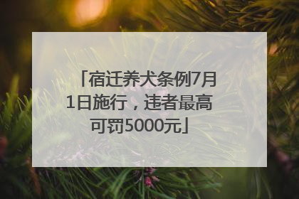 宿迁养犬条例7月1日施行，违者最高可罚5000元