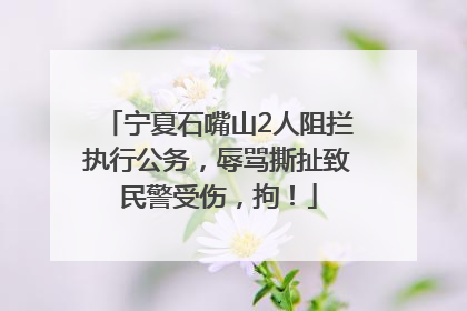宁夏石嘴山2人阻拦执行公务，辱骂撕扯致民警受伤，拘！