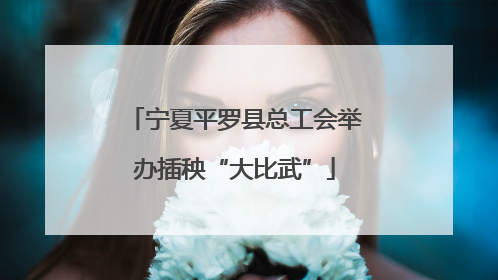 宁夏平罗县总工会举办插秧“大比武”