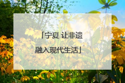 宁夏 让非遗融入现代生活