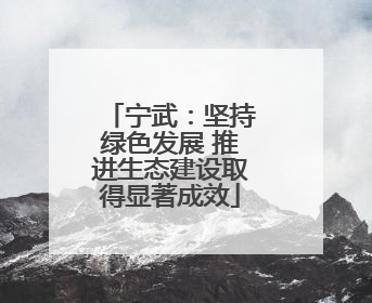 宁武：坚持绿色发展 推进生态建设取得显著成效