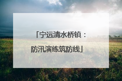 宁远清水桥镇：防汛演练筑防线