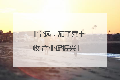 宁远：茄子喜丰收 产业促振兴