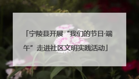 宁陵县开展“我们的节日·端午”走进社区文明实践活动