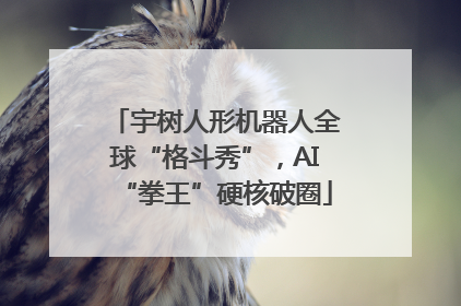 宇树人形机器人全球“格斗秀”，AI“拳王”硬核破圈