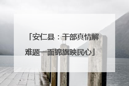 安仁县：干部真情解难题一面锦旗映民心