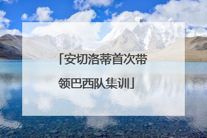 安切洛蒂首次带领巴西队集训