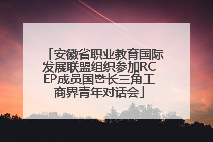安徽省职业教育国际发展联盟组织参加RCEP成员国暨长三角工商界青年对话会