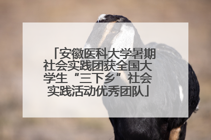 安徽医科大学暑期社会实践团获全国大学生“三下乡”社会实践活动优秀团队