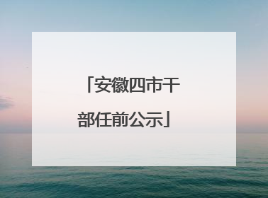 安徽四市干部任前公示