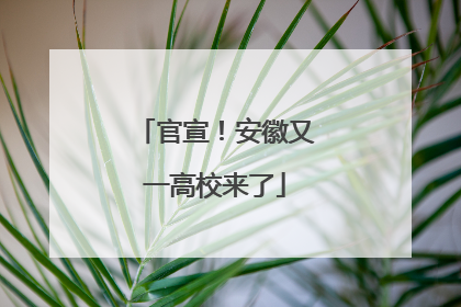 官宣！安徽又一高校来了