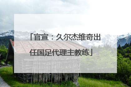官宣：久尔杰维奇出任国足代理主教练