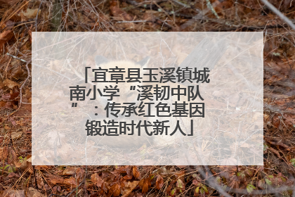 宜章县玉溪镇城南小学“溪韧中队”：传承红色基因 锻造时代新人