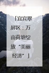宜宾翠屏区：万亩荷塘绽放“美丽经济”
