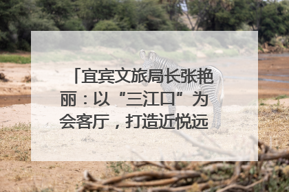 宜宾文旅局长张艳丽：以“三江口”为会客厅，打造近悦远来的国际旅游城市｜文旅局长说