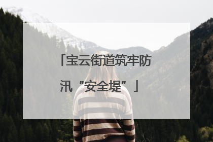 宝云街道筑牢防汛“安全堤”