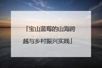 宝山蓝莓的山海跨越与乡村振兴实践