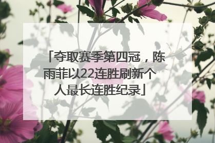 夺取赛季第四冠，陈雨菲以22连胜刷新个人最长连胜纪录