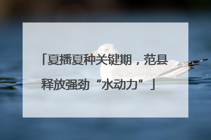 夏播夏种关键期，范县释放强劲“水动力”