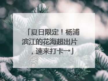 夏日限定！杨浦滨江的花海超出片，速来打卡→