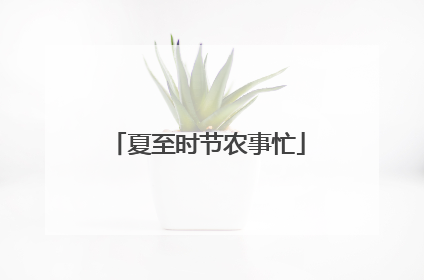 夏至时节农事忙