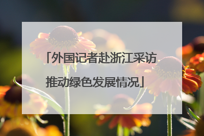 外国记者赴浙江采访推动绿色发展情况