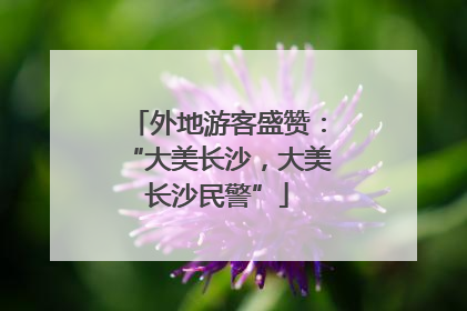 外地游客盛赞：“大美长沙，大美长沙民警”