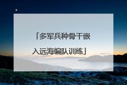 多军兵种骨干嵌入远海编队训练