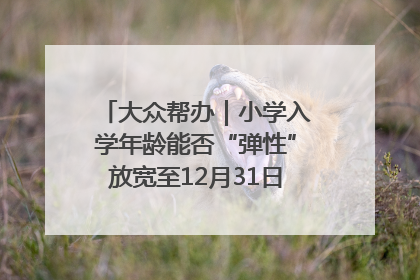 大众帮办｜小学入学年龄能否“弹性”放宽至12月31日？有地方已在探索