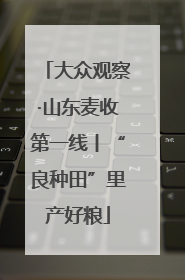 大众观察·山东麦收第一线丨“良种田”里产好粮