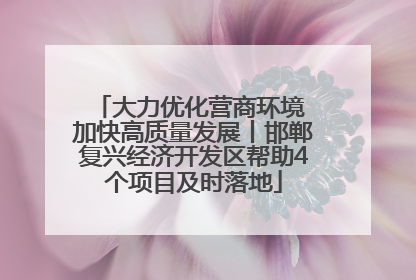 大力优化营商环境 加快高质量发展丨邯郸复兴经济开发区帮助4个项目及时落地