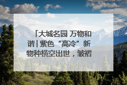 大城名园 万物和谐│紫色“高冷”新物种横空出世，皱褶叶片暗藏进化密码