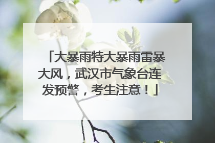 大暴雨特大暴雨雷暴大风，武汉市气象台连发预警，考生注意！