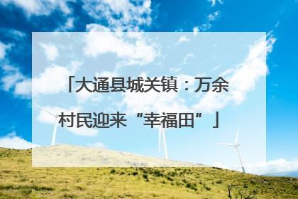 大通县城关镇：万余村民迎来“幸福田”