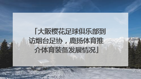 大阪樱花足球俱乐部到访烟台足协，鹿扬体育推介体育装备发展情况