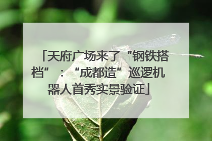 天府广场来了“钢铁搭档”：“成都造”巡逻机器人首秀实景验证