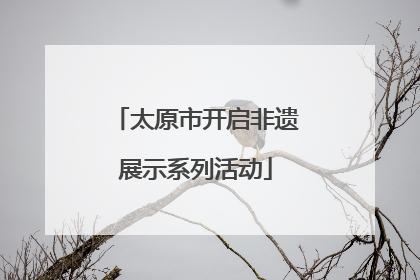 太原市开启非遗展示系列活动