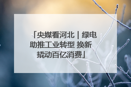 央媒看河北｜绿电助推工业转型 换新撬动百亿消费