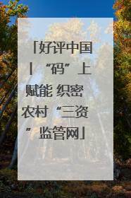 好评中国丨“码”上赋能 织密农村“三资”监管网