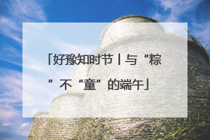 好豫知时节丨与“粽”不“童”的端午